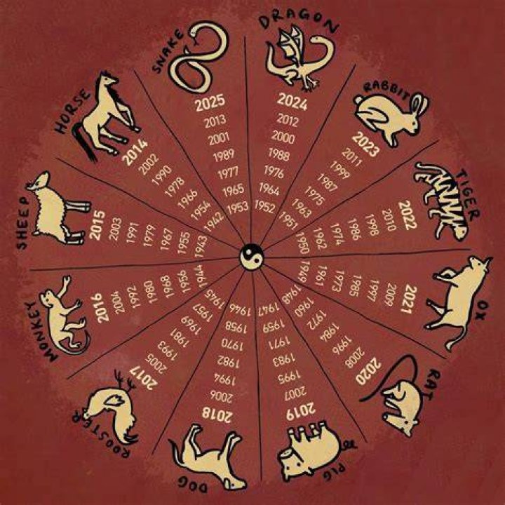 2024 Chinese Zodiac: Your Guide To The Dragon Year