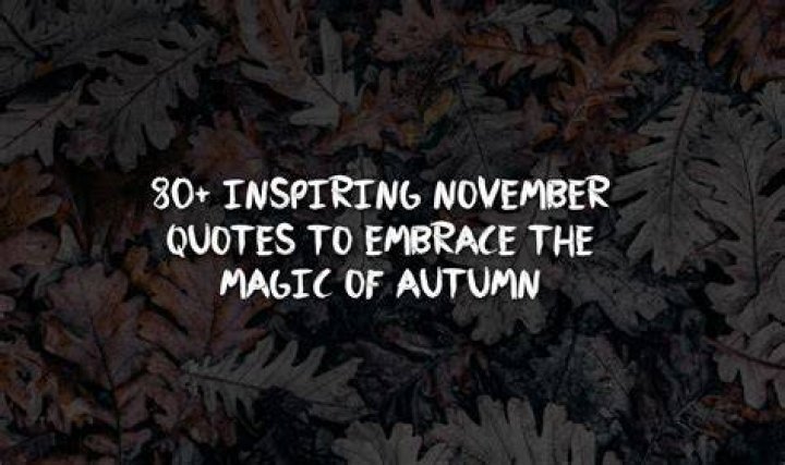 80+ Best Quotes About November That Makes You Feel Better