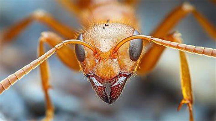A Close-Up Look At His Success
