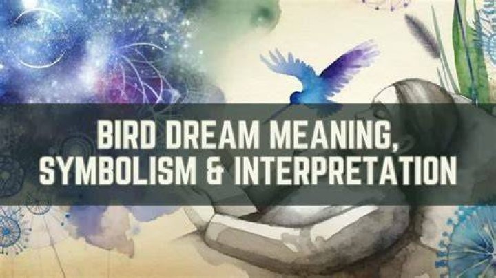 A Comprehensive Guide To The Meaning And Etymology Of "Bird"