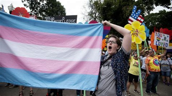 A Transgender Trump Supporter Is Conservative Darling The Forward