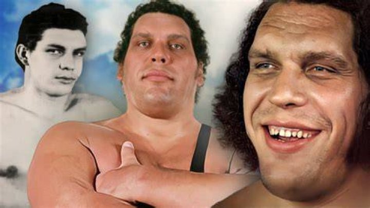 Andre the Giant 16 Tales Told By His Friends