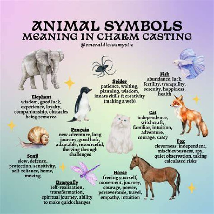 Animal Sighting Meanings Meaning of Seeing a Cardinal PathForward