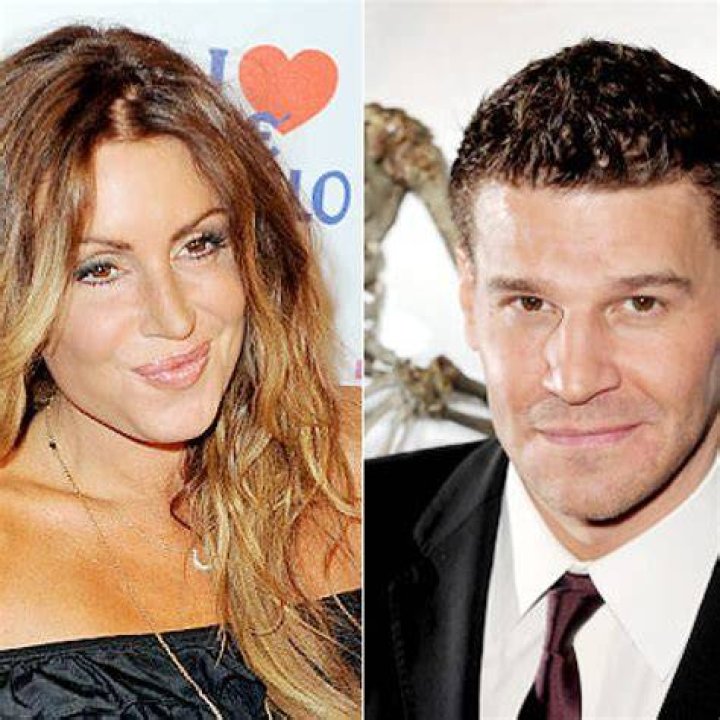 David Boreanaz Admits to Cheating on His Wife