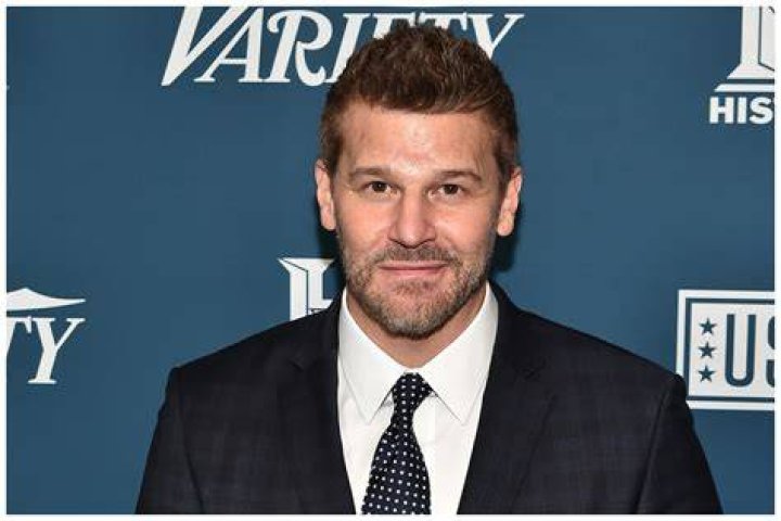 David Boreanaz Picture the Celeb Archive David boreanaz, Shirtless