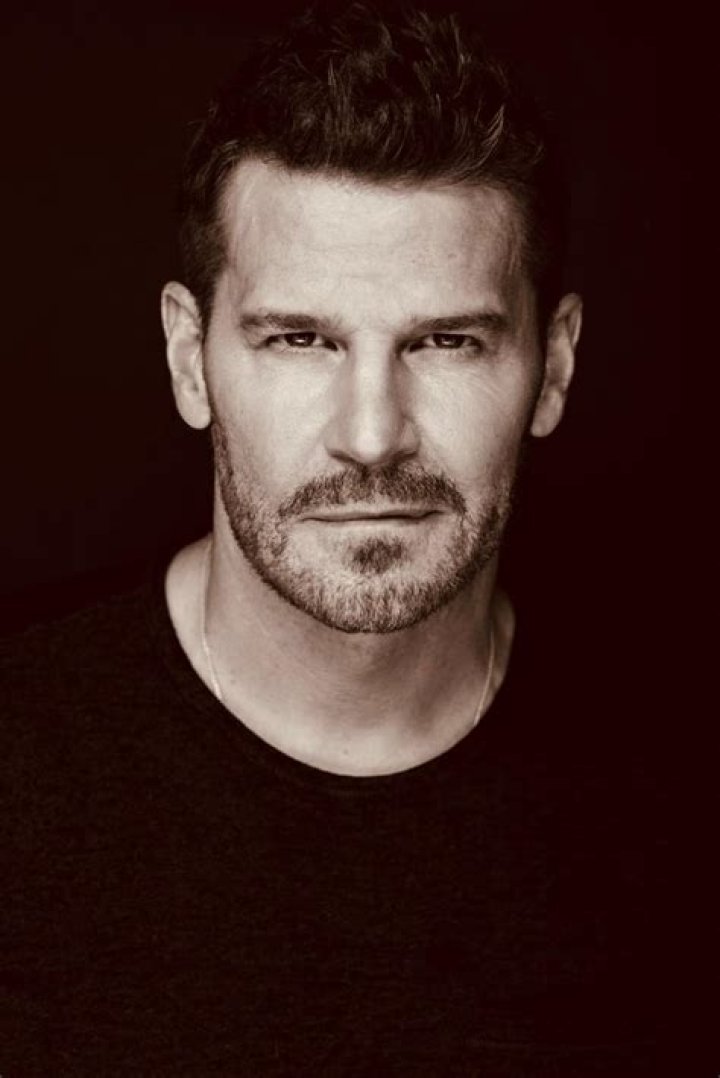 David Boreanaz Talks Working with Neil LaBute for 'Full Circle' Photo