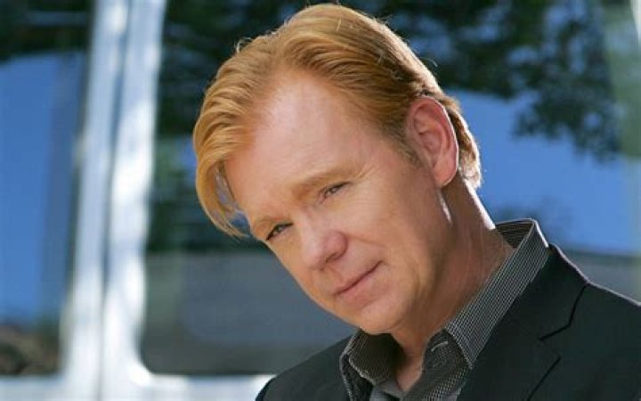 David Caruso Profile Images — The Movie Database (TMDB)