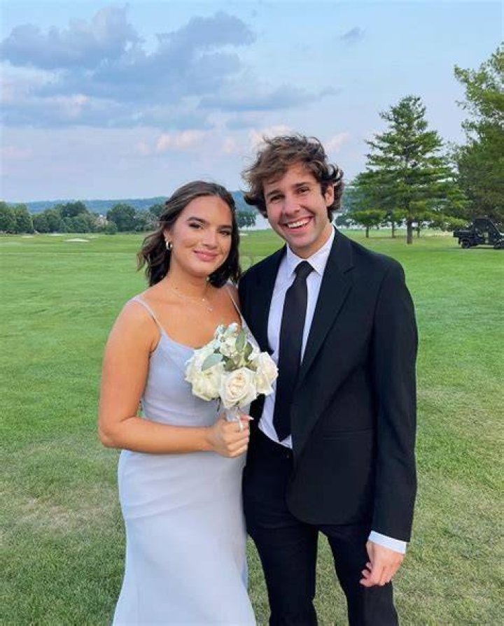 David Dobrik Net Worth Girlfriend Famous People Today