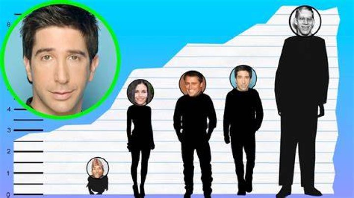David Schwimmer Height, Age, Net Worth, Affair, Career, and More