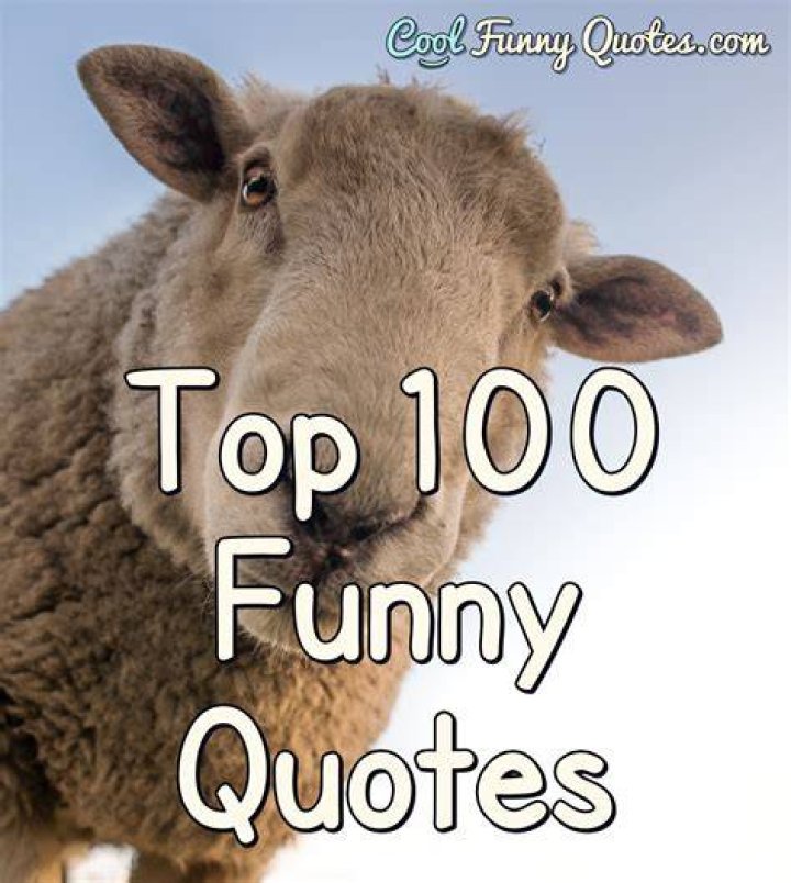 Discover The Funniest Short Quotes Ever