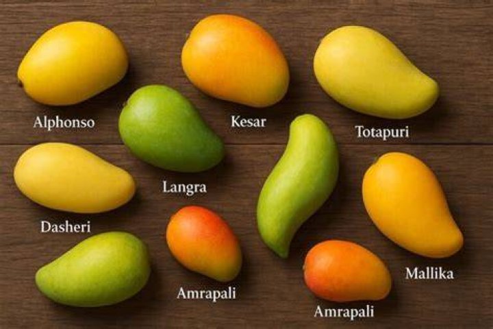 Discover The World Of Mangoes: Explore All Varieties And Flavors