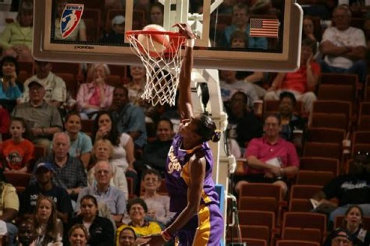 Dunk Expert Lisa Leslie's Husband Is Boeing 767 Captain, Flower Girls
