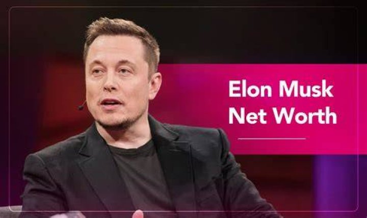 Elon Musk Net Worth Without Tesla Image In This Age