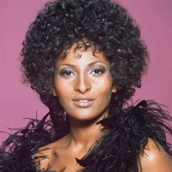 Exploring Pam Grier's Ethnicity, Nationality, Race, Family, And Body