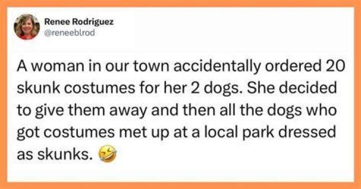 Funniest Things People Confessed They Have Done And You’ll Definitely