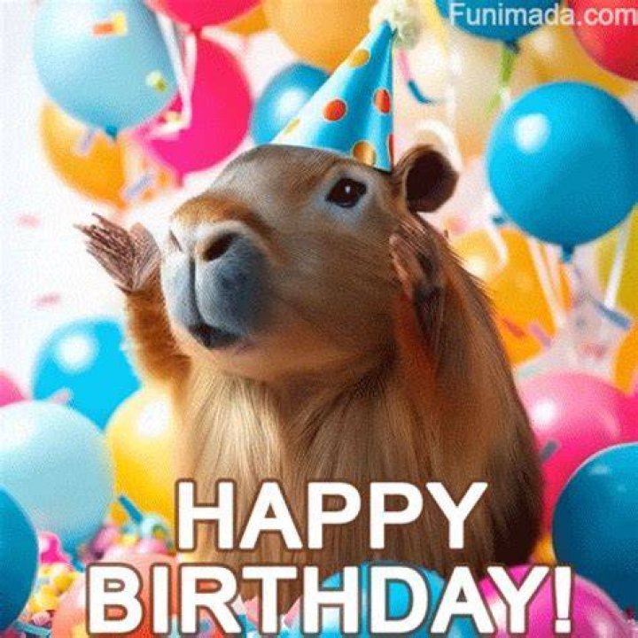 Funny Happy Birthday GIF Collection Download on