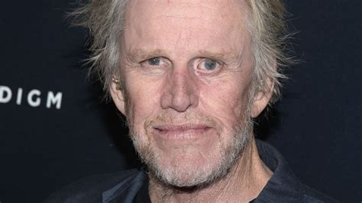 Gary Busey's Son Is Mike Bosey Related to Gary Busey? Father son