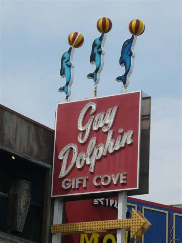 Glorious Gay Days July 2010