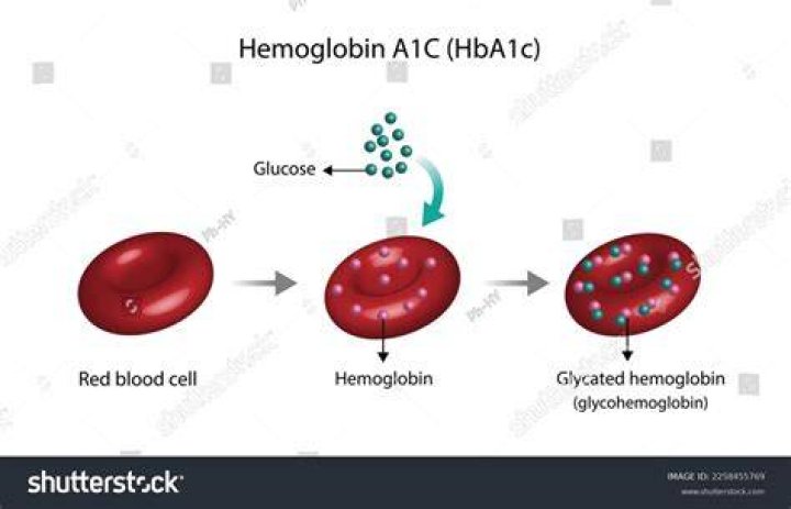 Hemoglobin A1C (HbA1c) Blood , Glycated Hemoglobin, HbA1c Test