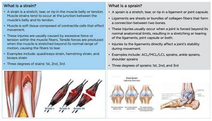 How do tendons heal?