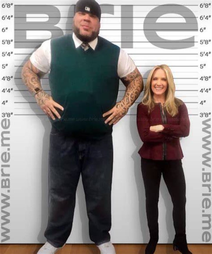 How Tall is Dana Perino? Dana Perino's Height How Tall Height