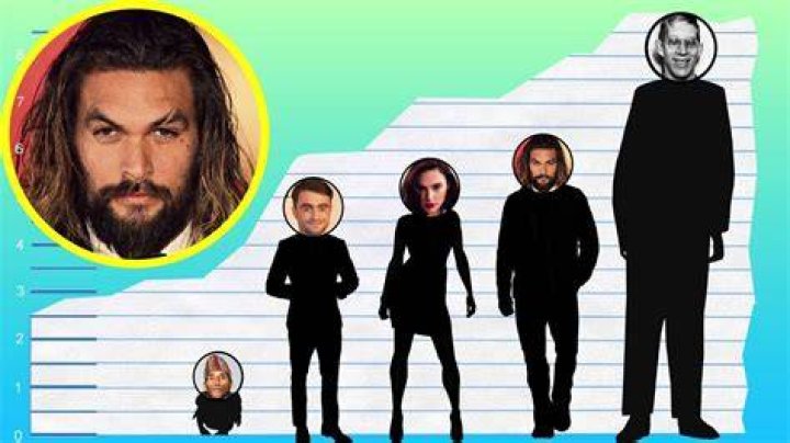 How Tall Is Jason Momoa? Height Comparison! YouTube