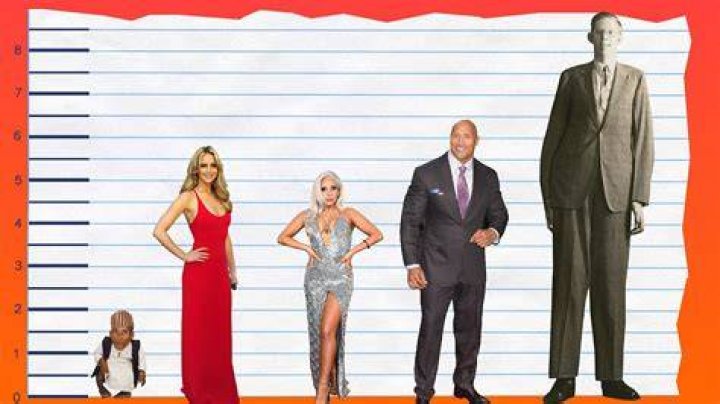 How tall is Jennifer Lawrence? Her quick rise to Hollywood