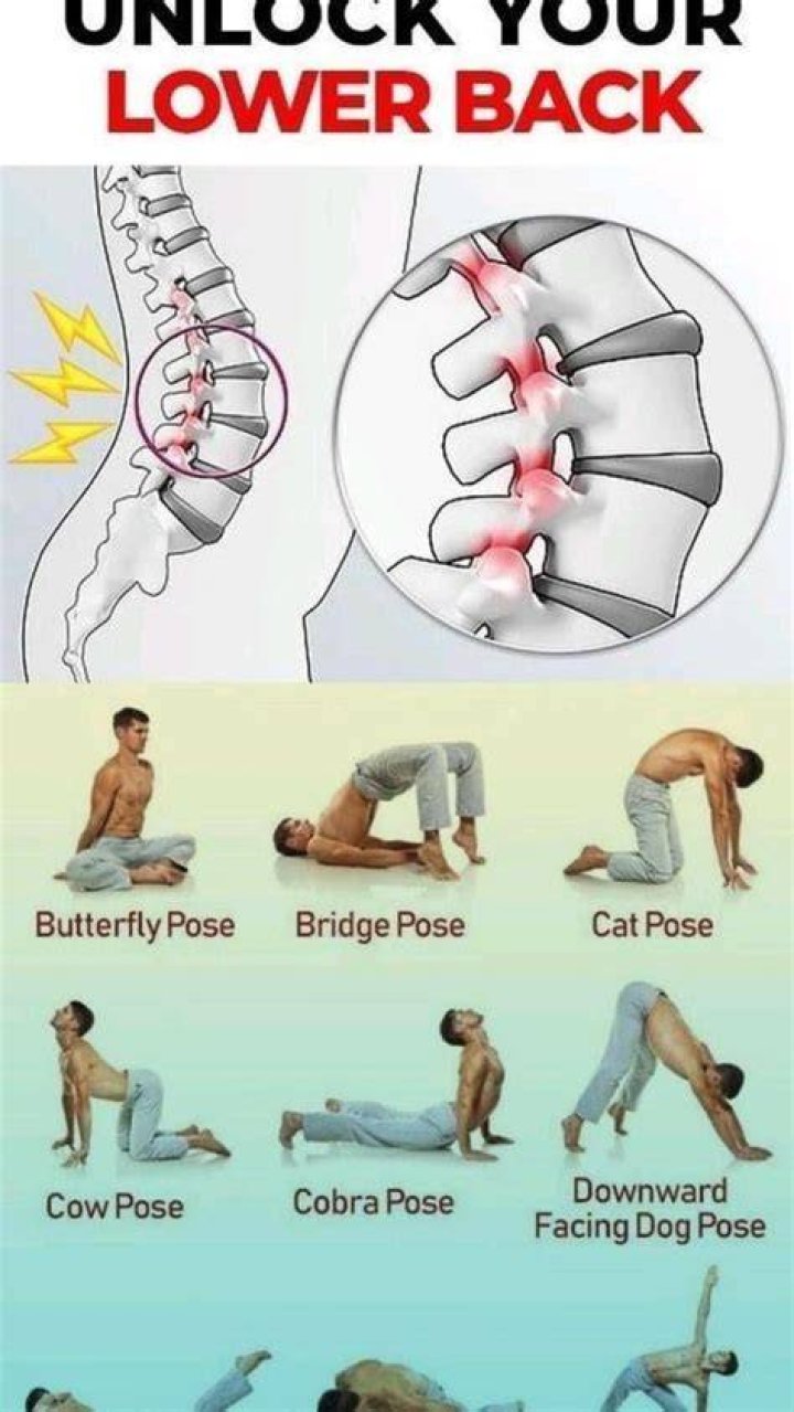 How to Fix Your Back like at Alpine Chiropractic? BMA UNLEASH