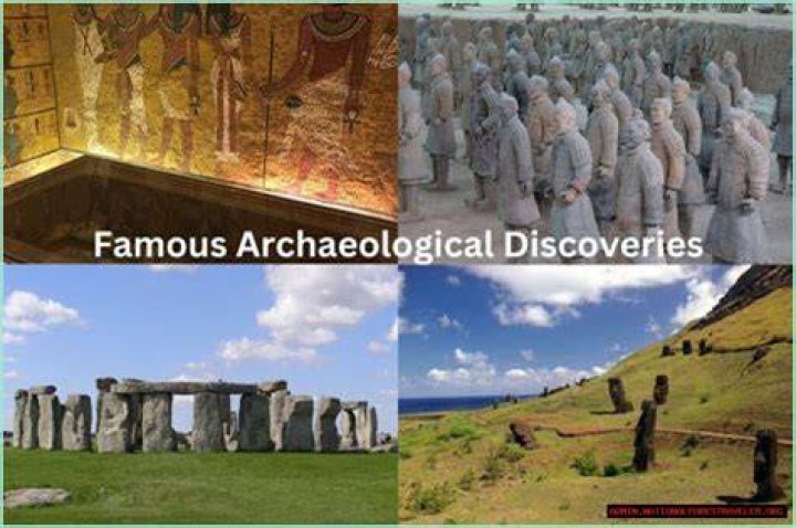 Insights And Discoveries From Her Wikipedia