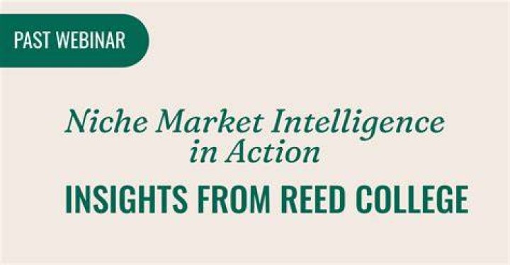 Insights And Revelations For The Benk27 Niche