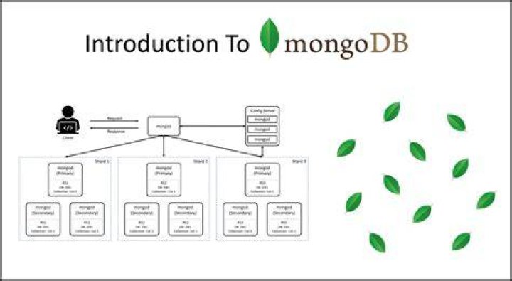 Introduction To MongoDB and Concepts. Digital Varys