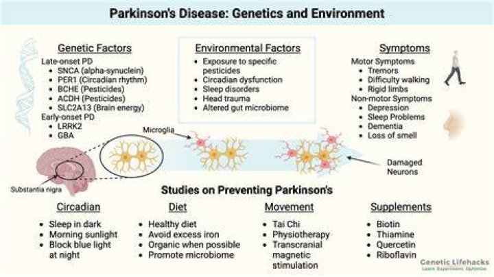 Is Parkinson's Disease A Factor?