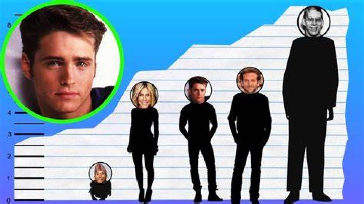 Jason Priestley Biography (Age, Height, Girlfriend & More) mrDustBin