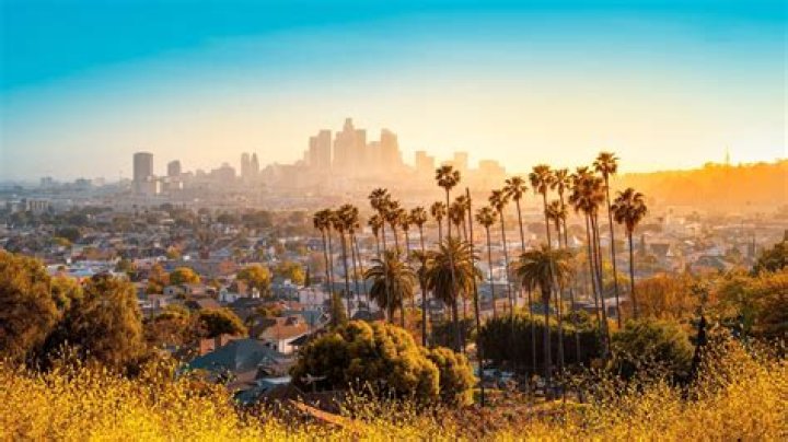 Los Angeles Ca July 15 Wnba Star Lisa Leslie And Her Husband, On The