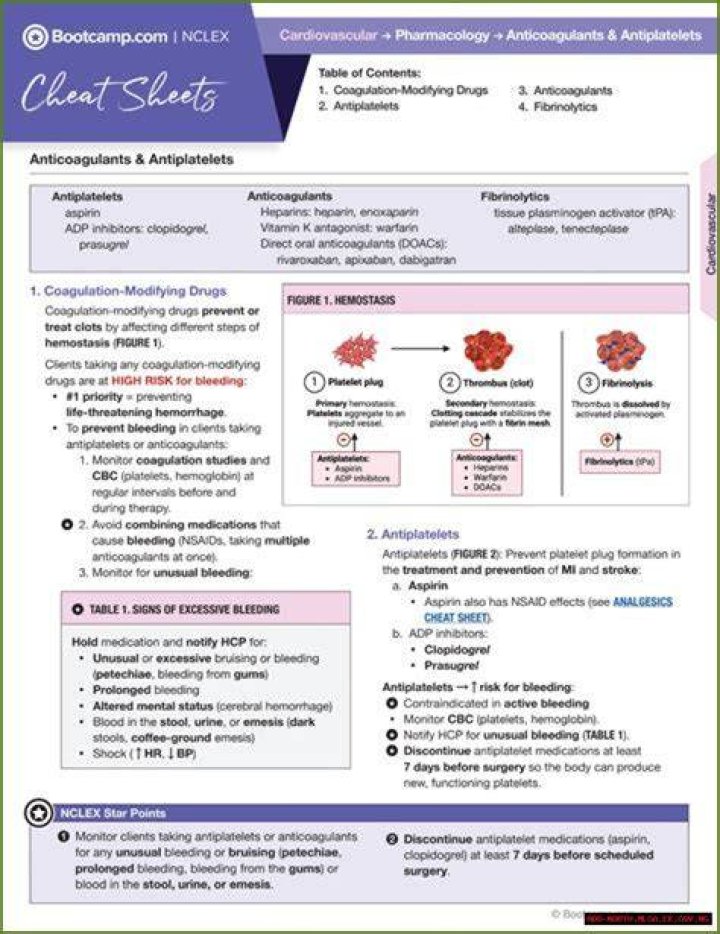 Lupus And Ozempic: A Comprehensive Guide For Patients And Caregivers