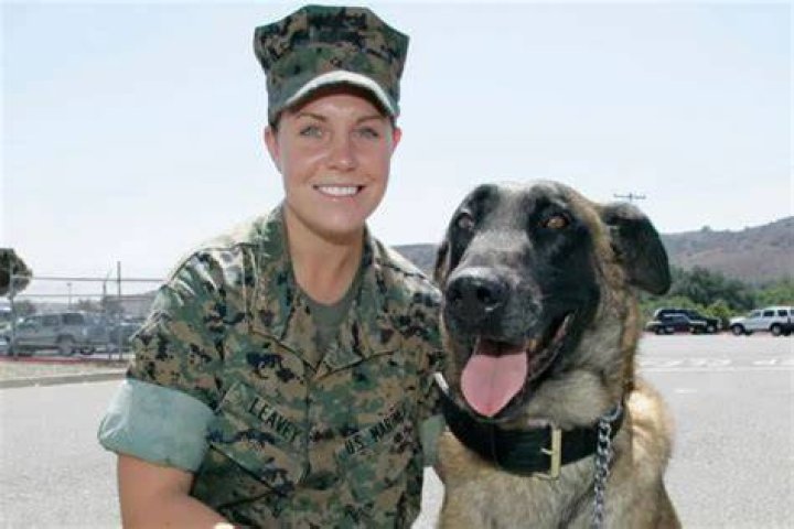 Megan Leavey And Matt Morales' True Love Story: A Heartfelt Conclusion