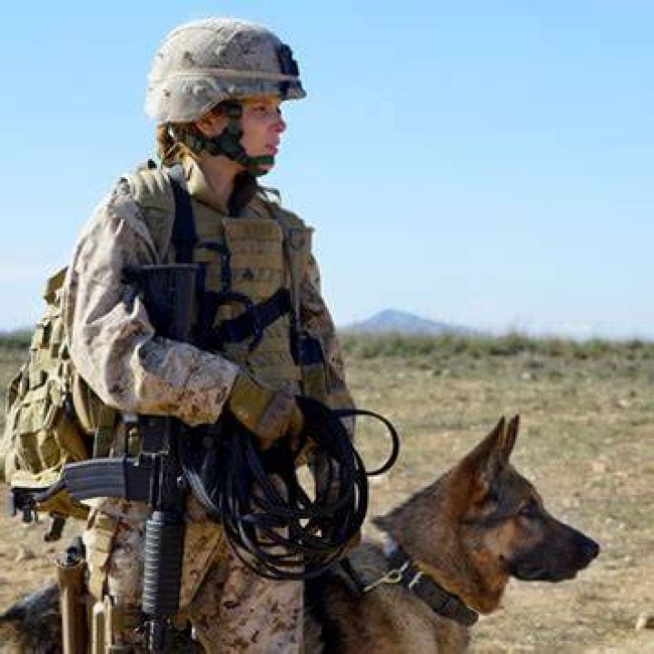 Megan Leavey Arlington Catholic Herald