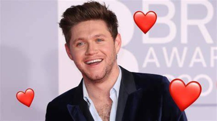 Niall Horan's Relationship Status Revealed