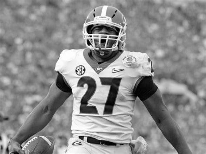 Nick Chubb College Stats 2017? Bulldogs Career