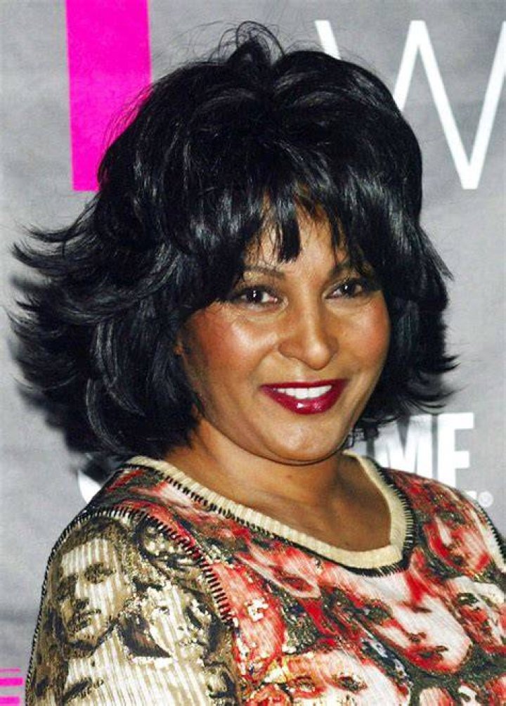 Pam Grier Wiki Bio Age Net Worth And Other Facts Facts Five The Best