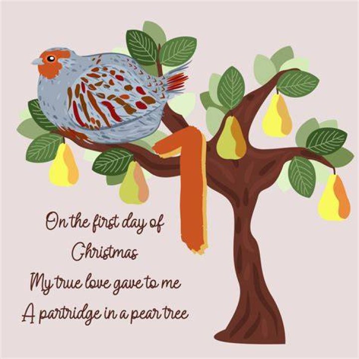 Partridge In A Pair Tree Dispenser Amenities