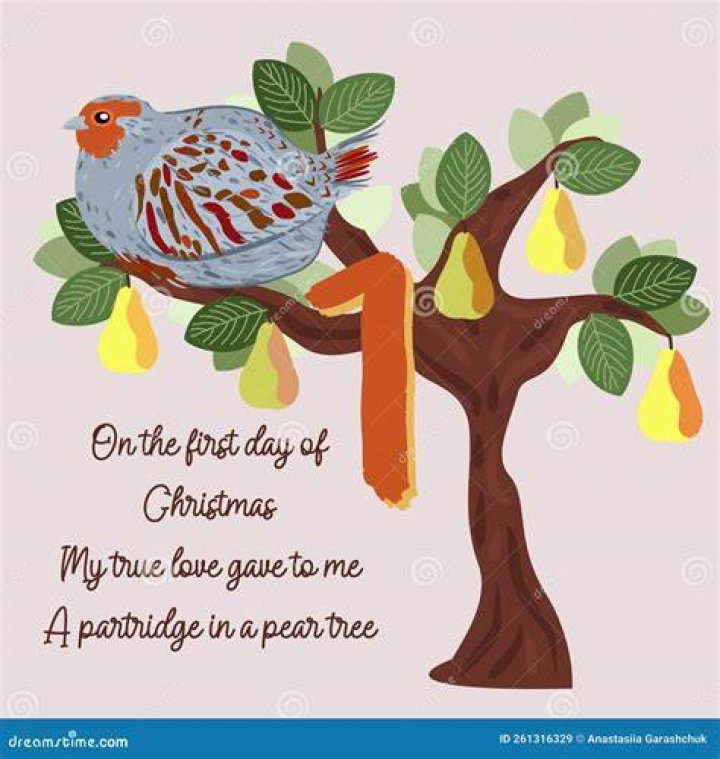Partridge In A Pear Tree Meaning Techs Slash