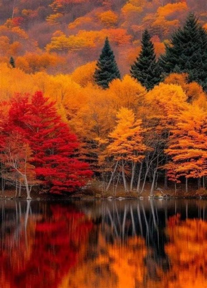 Pin on Autumn