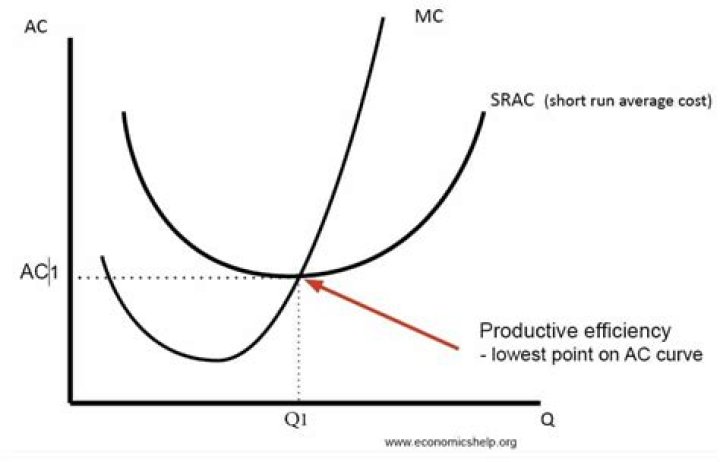 Productive Efficiency