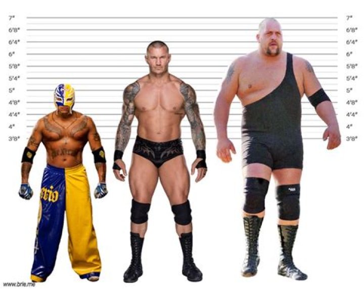 Randy Orton Height How Tall is He Really? Brie