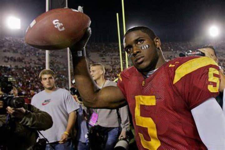 Reggie Bush's Wife Lilit Avagyan Pregnant With Third Child