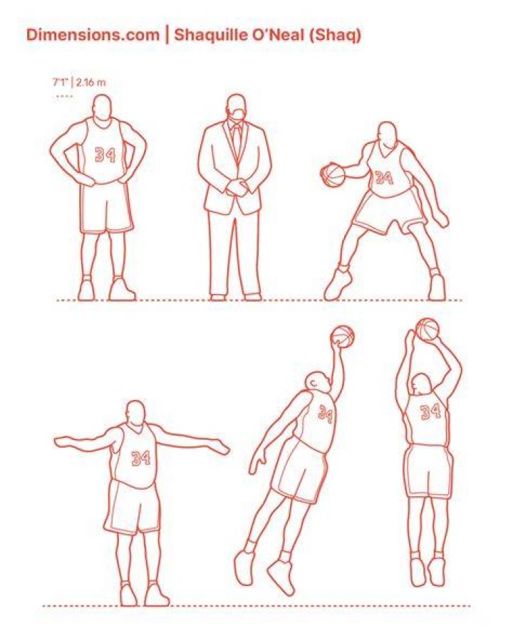 Shaquille O&rsquo;Neal (Shaq) Dimensions & Drawings