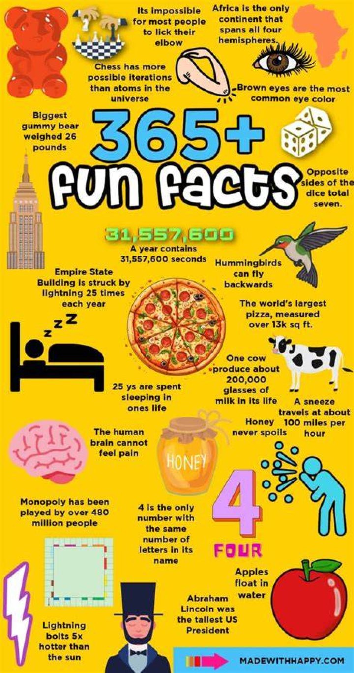 Surprising Fun Facts About Me: A Random Collection Of Trivia
