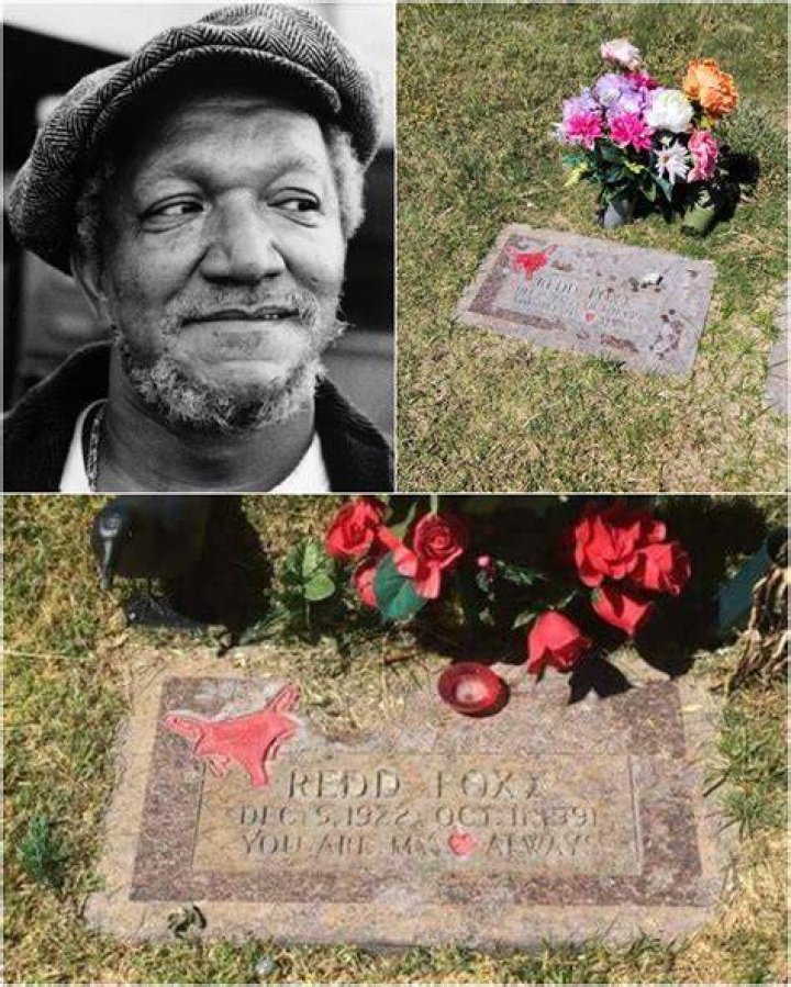 The Life And Legacy Of Comedic Legend: Redd Foxx