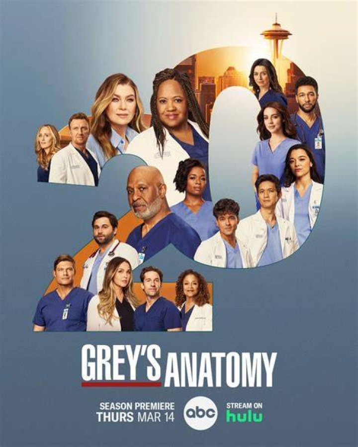 The Ultimate Guide To Grey's Anatomy Season 20 Cast